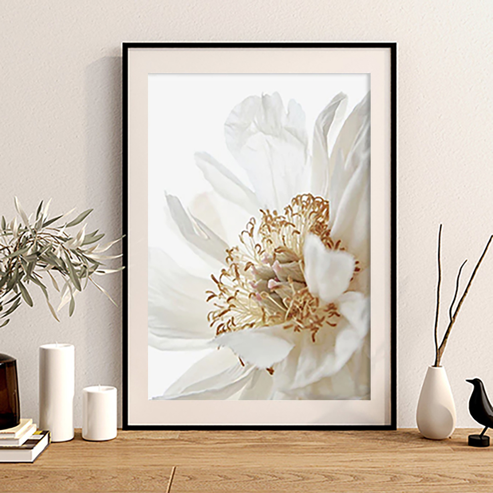 Nordische weiße Blume Leinwand Malerei Botanische Plakate und Drucke moderne Wandkunstbild für Wohnzimmer Wohnkultur Kein Rahmen