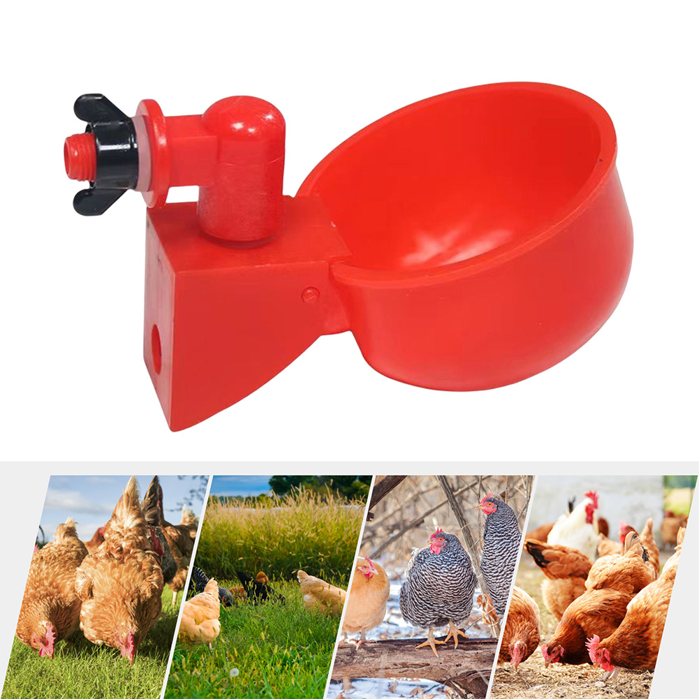 Automatic Drinker Chicken Feeder 6/12pcs Chicken Drinking Cup Plastic Poultry Waterer Drinking Water Feeder for Chick Duck Goose