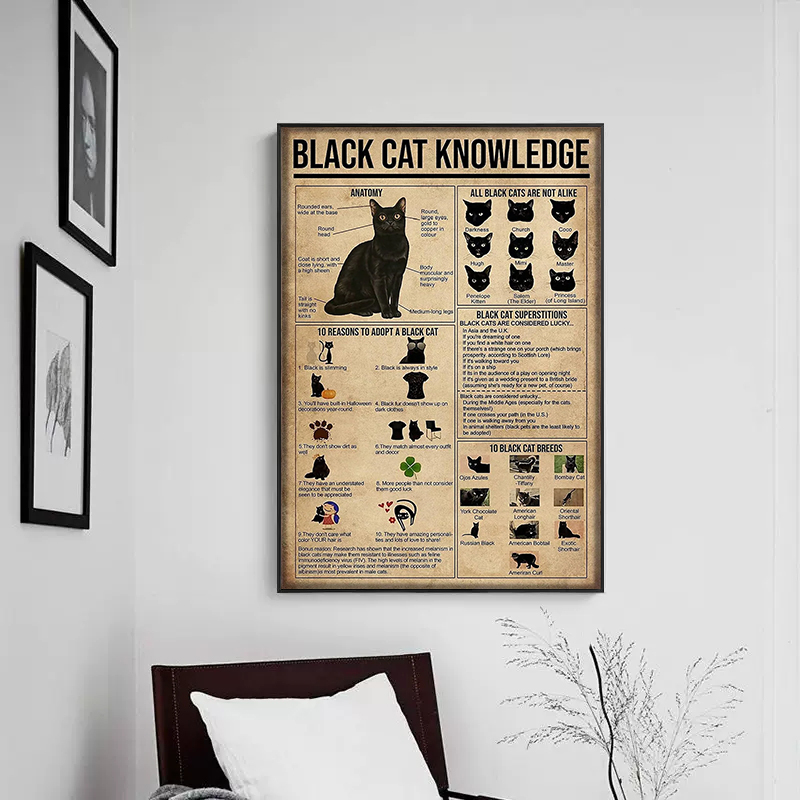 Funnamente Cat Black Cat Raids Gráfico de conhecimento Poster Print Canvas pintando arte de parede vintage para decoração de casa de estar decoração