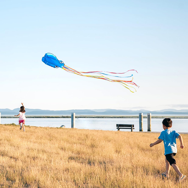 4m 3d Octopus Kite Long Float Tail Simple Beach Kite Festival Gift Kit For Kids Set with Kite String 100m cometas