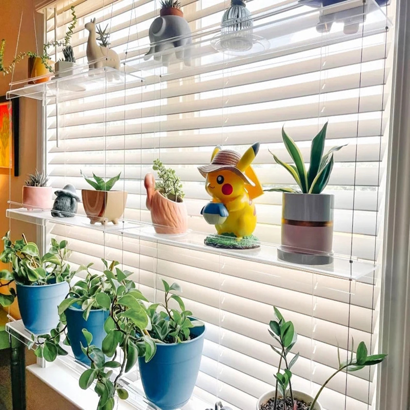 Piante personalizzate in transpAent piante acriliche succulente scaffale succulente pentola da fiore da giardino finestra soggiorno camera da letto