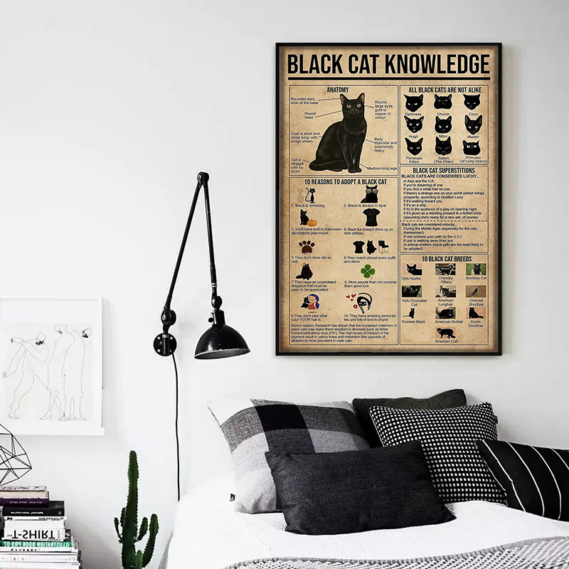 Funnamente Cat Black Cat Raids Gráfico de conhecimento Poster Print Canvas pintando arte de parede vintage para decoração de casa de estar decoração