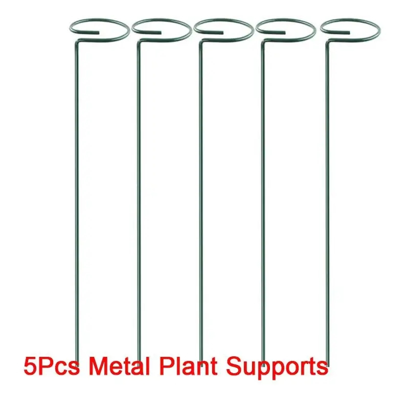 5 Pack Plant Support Stakes, 4mm Thick Garden Single Stem Flower Support Stake Amaryllis Plant Cage Support Rings