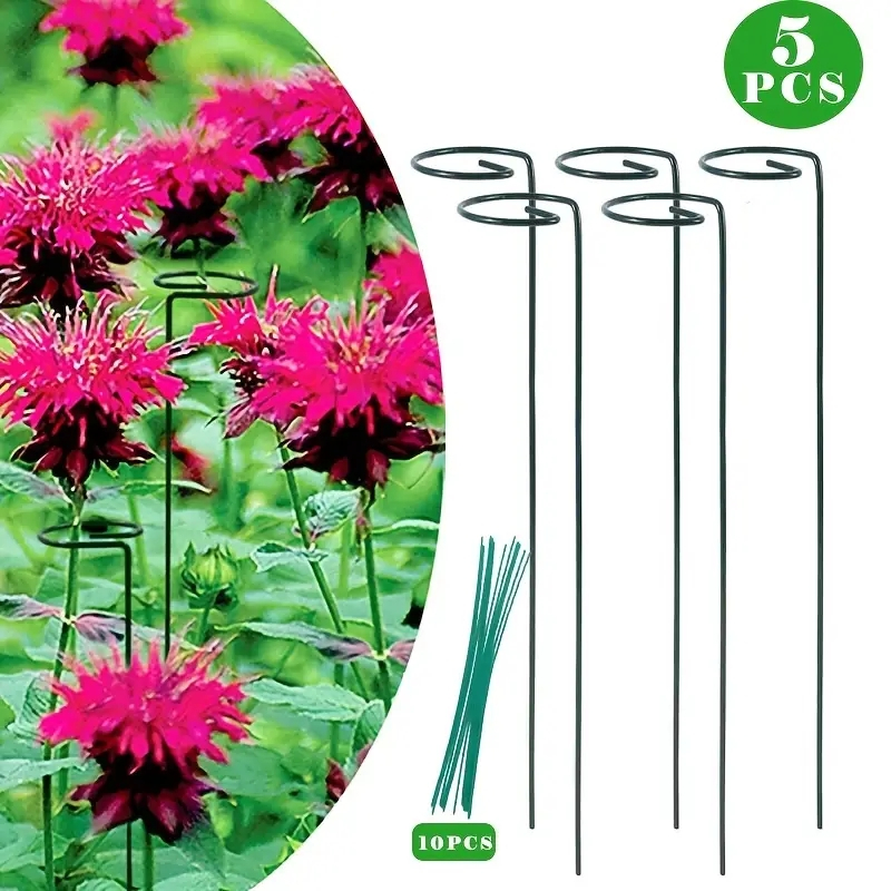 5 Pack Plant Support Stakes, 4mm Thick Garden Single STEM Flower Support Stake Amaryllis Plant Cage Support Rings