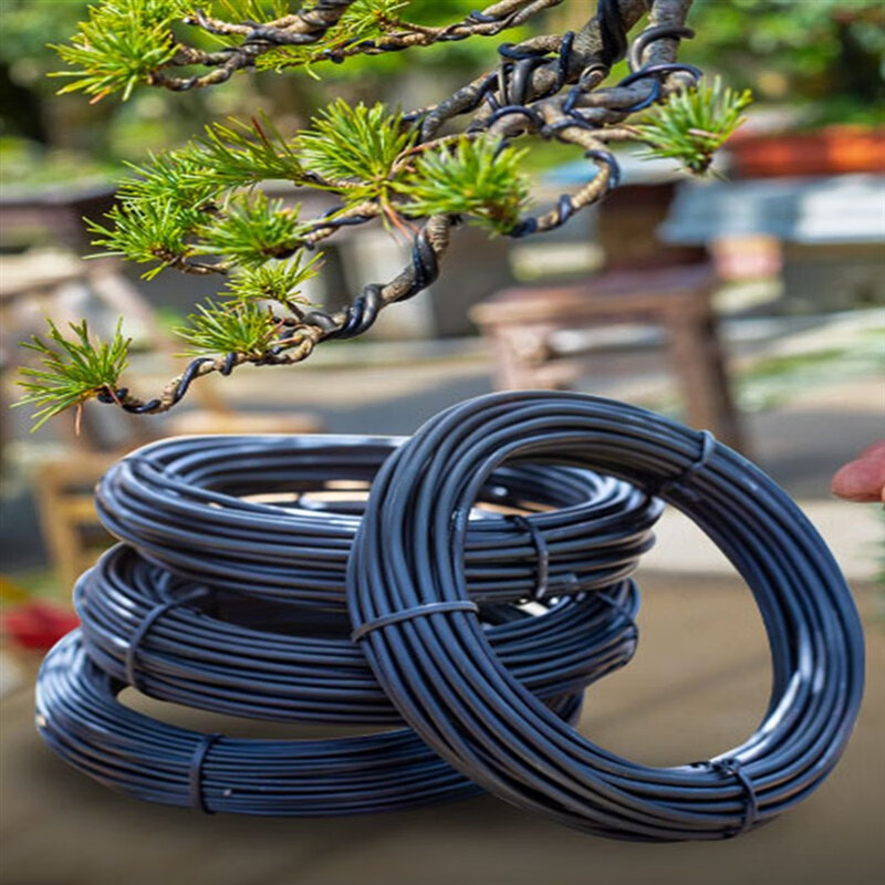 1,0 mm 1,5 mm 2,0 mm 3,0 mm 3,5 mmx5m czarny drut bonsai anodowany aluminiowy bonsai treningowy drut ogrodowy narzędzie DIY do kształtów roślin