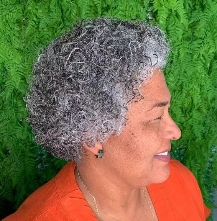 Chic Grey Human Hair Wigs Spets Front Short Obre Fabulous Wigs Grey Kinky Curly Afro Natural Salt and Pepper Silver Grey Real Brasilian Hair Spets Front Wig Bob 4x4 