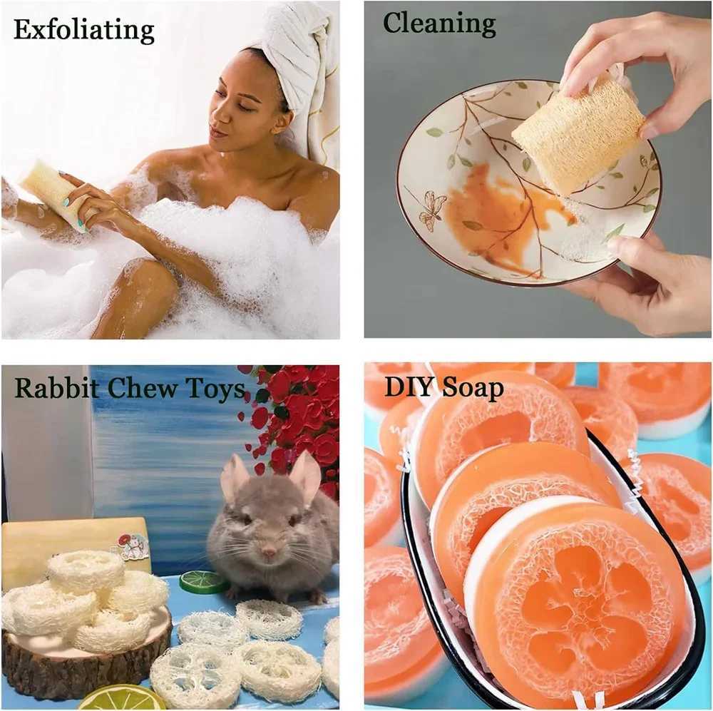 Badgereedschap Accessoires 3 stks Natuurlijke loofah borstels Bad Body Sponge Scrubber Multipurpos Badmassage Pot Bowbber Keuken Badkamer Schoongereedschap 240413