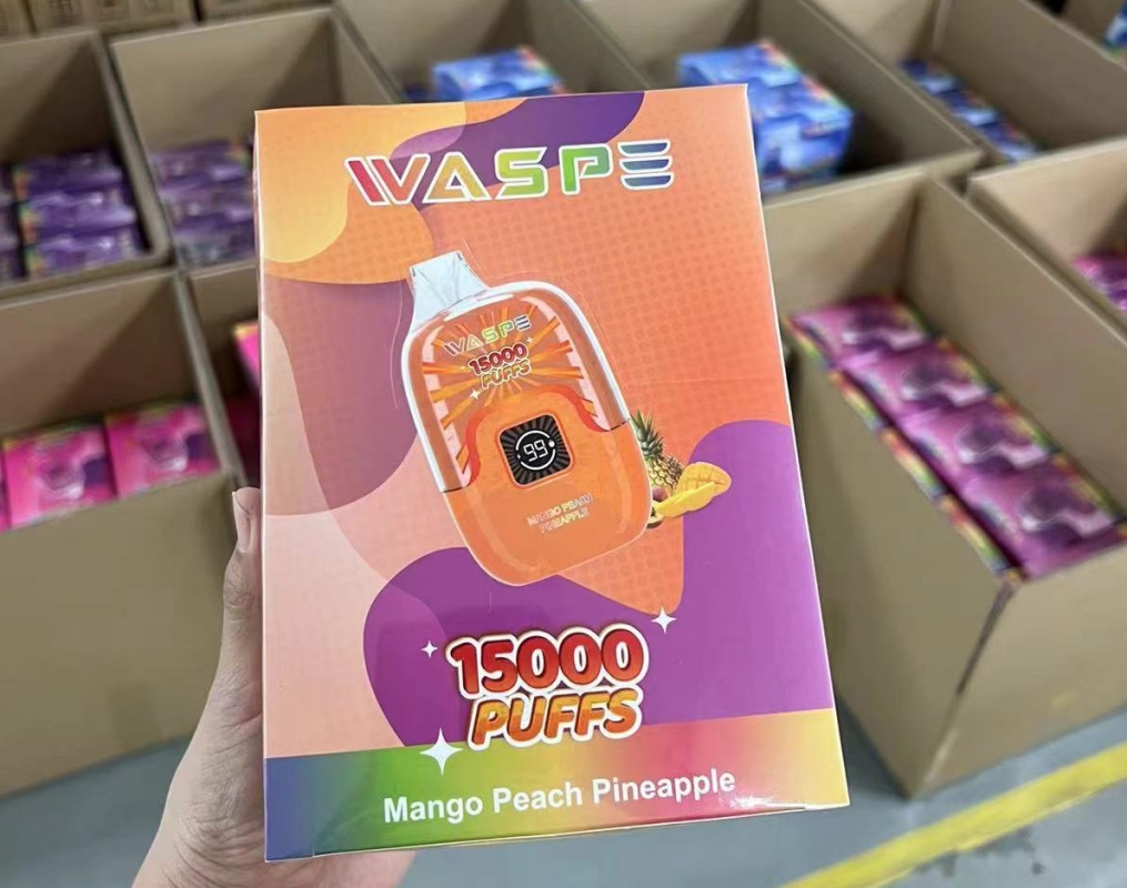 WASPE Digital Box Puff 15000 sigarette elettroniche usa e getta 0% 2% 22 ml Coil a mesh baccello pre-riempito 650MAH Type-C ricaricabile da 12 gusti 15k Vs Shisha Hookah 15k