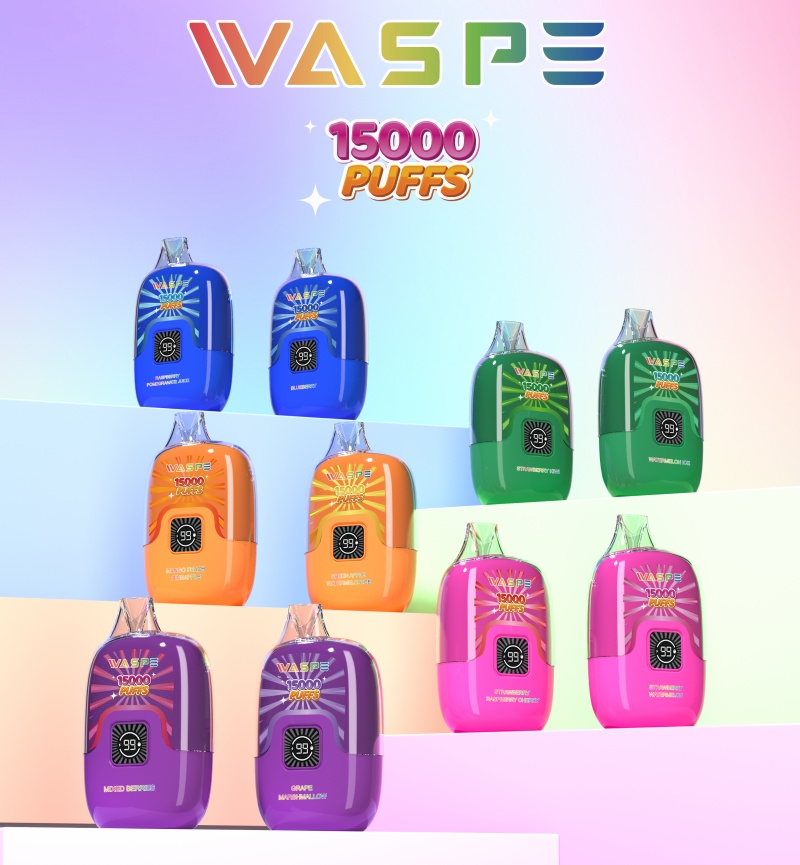 WASPE Digital Box Puff 15000 sigarette elettroniche usa e getta 0% 2% 22 ml Coil a mesh baccello pre-riempito 650MAH Type-C ricaricabile da 12 gusti 15k Vs Shisha Hookah 15k