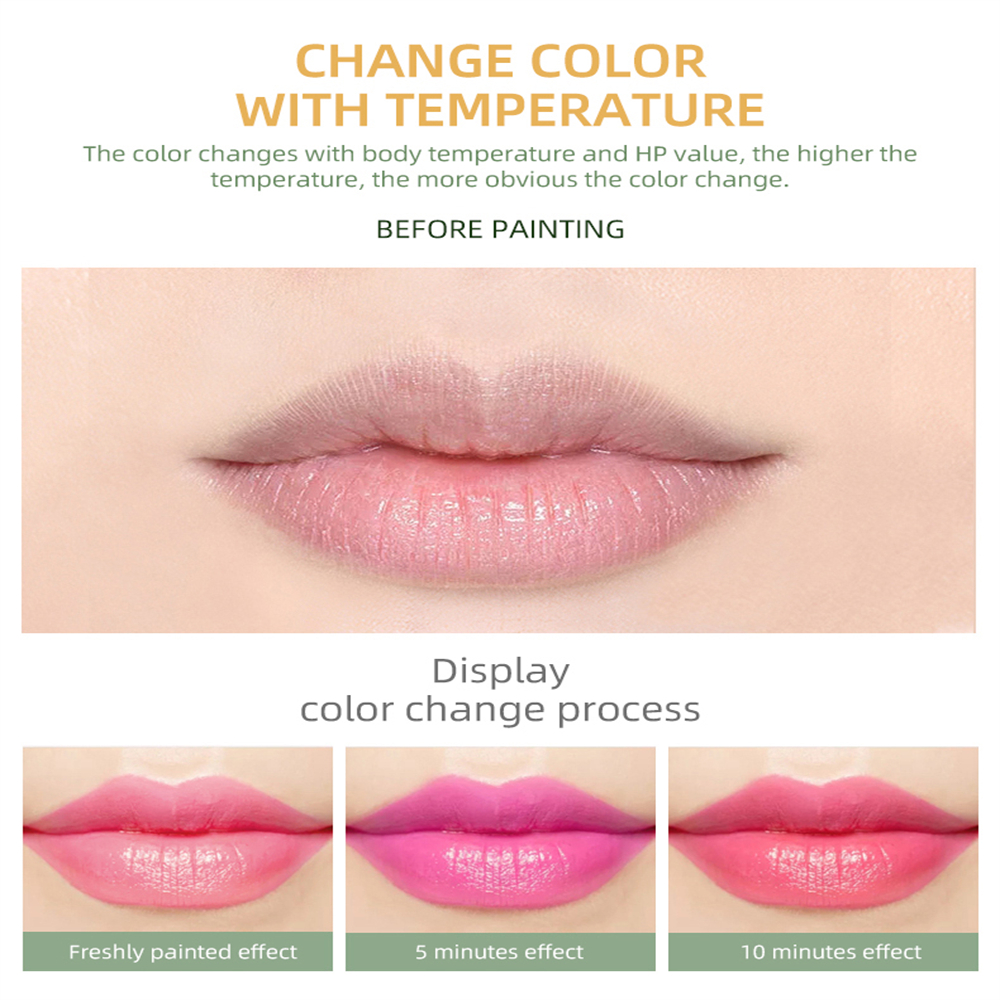 Wholesale kiss beauty Promotion Vegan Lipgloss Color Change Lipstick Aloe Vera Lipstick