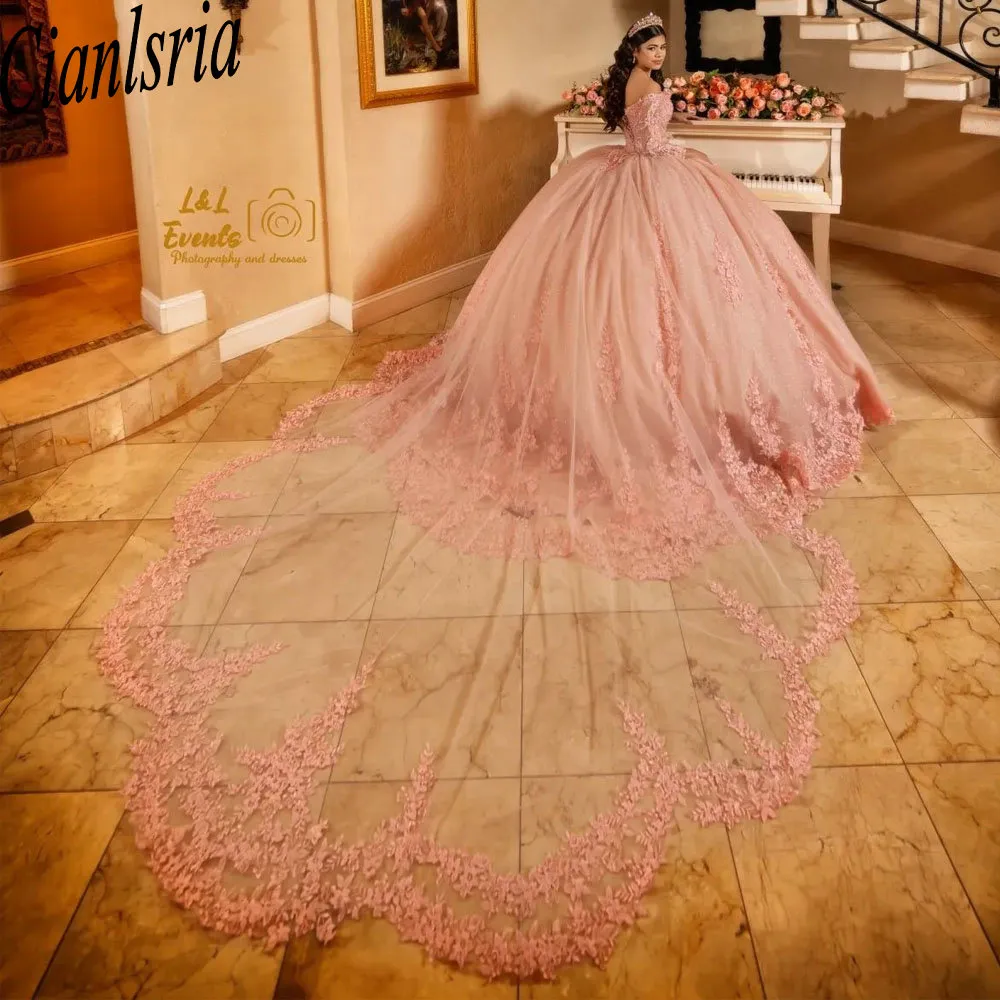 ثوب كرة طويل الأكمام الوردي فستان Quinceanera قبالة الكتف الزائفة الدانتيل مشد الحلو 16 Vestido de 15 Anos