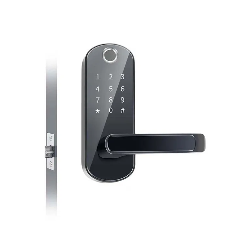 Controllo app ttlock blu bluetooth bluetooth bluetooth bluetooth serratura smart dors