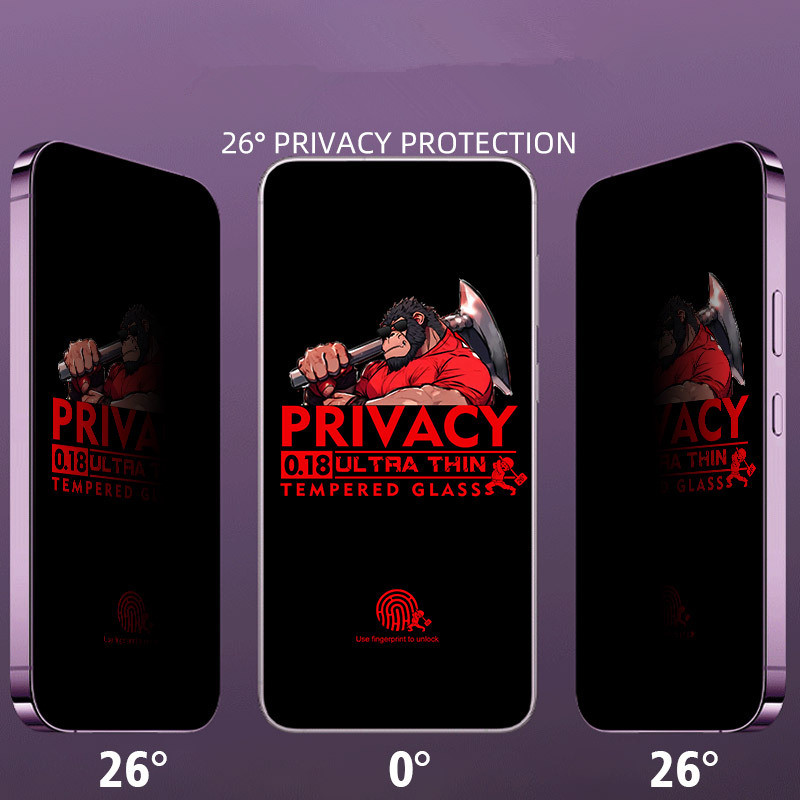 S24 Ultra 지문 잠금 해제 0.18mm 프라이버시 2.5d Samsung Galaxy S24 S23 S22 S21 Plus Box 패키지 용 Ultra-Thin Tempered Glass Phone Screen Protector