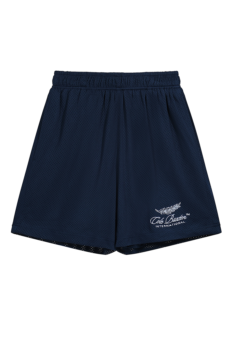 2024 New Summer Shorts Embroidered Breathable Mesh Quick Drying Hawaiian Beach Shorts