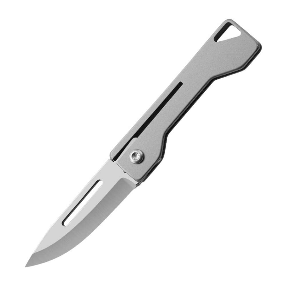 Coltello tascabile EDC, taglierina in acciaio inossidabile, mini coltello, coltello intagliato, coltello da portata del bagaglio a mano, coltello di autodifesa