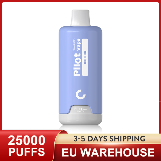 Warehouse UE PILOT ORIGINALE VAPE 20000 25000 BUFS 28 ml Sigaretta Eletronica VAPE usa e getta 2% 3% 5% 5% 10 frutta succo di frutta POD POD POD Coil Big Vapore Recharcable