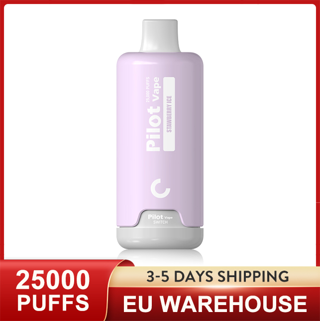 EU Warehouse Original Pilot vape 20000 25000 Puffs 28ml sigaretta elettronica disposable vapes 2% 3% 5% 10 Fruit Juice Prefilled Pod Mesh Coil Big Vapor Rechargeable