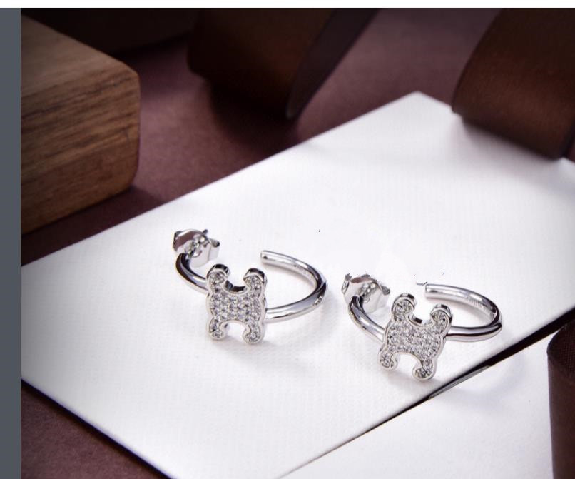 Designerlåsörhängen för kvinnor högkvalitativ lyxig guld silver koppar Rhinestone Circle Chandelier örhänge smycken gåvor droppar