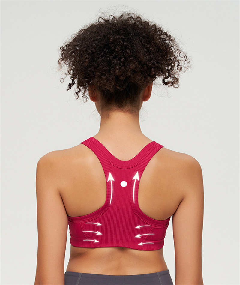Lu Kurzes einteiliges Brustpolster Yoga Faden BH Fitness Sport Unterwäsche Frauen Yoga Top Crop T-Shirt