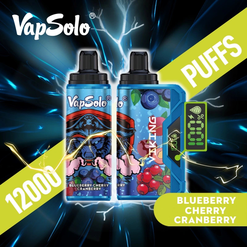 VapSolo Viking 12K Puffs wegwerp E Sigaret 12000 Puff Bar Vapers Oplaadbare batterijvape Pen 15 SMAVOREN 2% 5% NICOTINEVAPEN met scherm