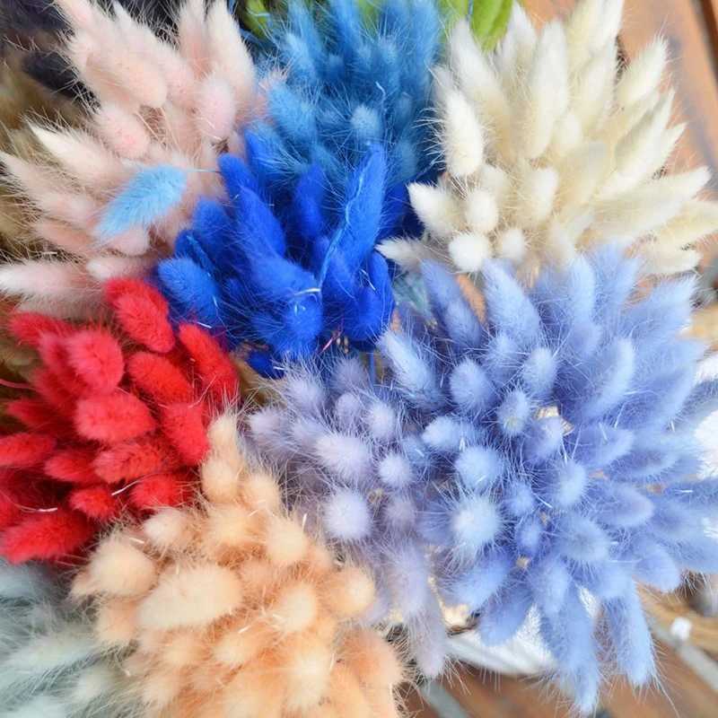 Dried Flowers Dry Flowers Bouquet Colorful Rabbit Tail Grass Dried Flowers DIY Home Wedding Garden Decoration Party Supplies