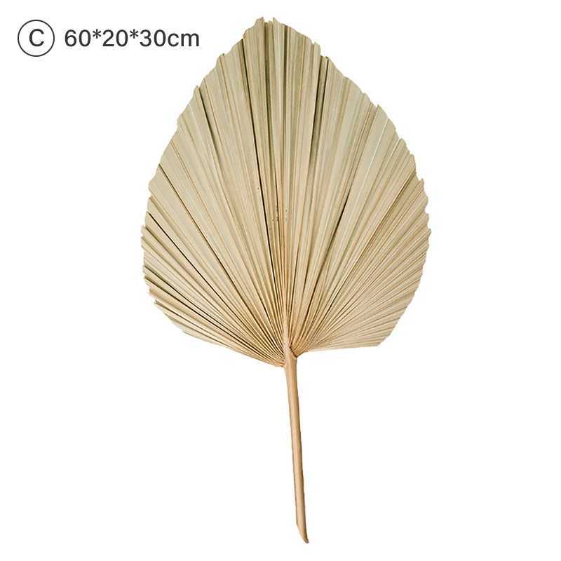 Dried Flowers DIY Palm Fan Leaf Dried Flower Palm Leaf Window Reception Party Art Wall Hanging Decoration For Wedding Arch Arrangement