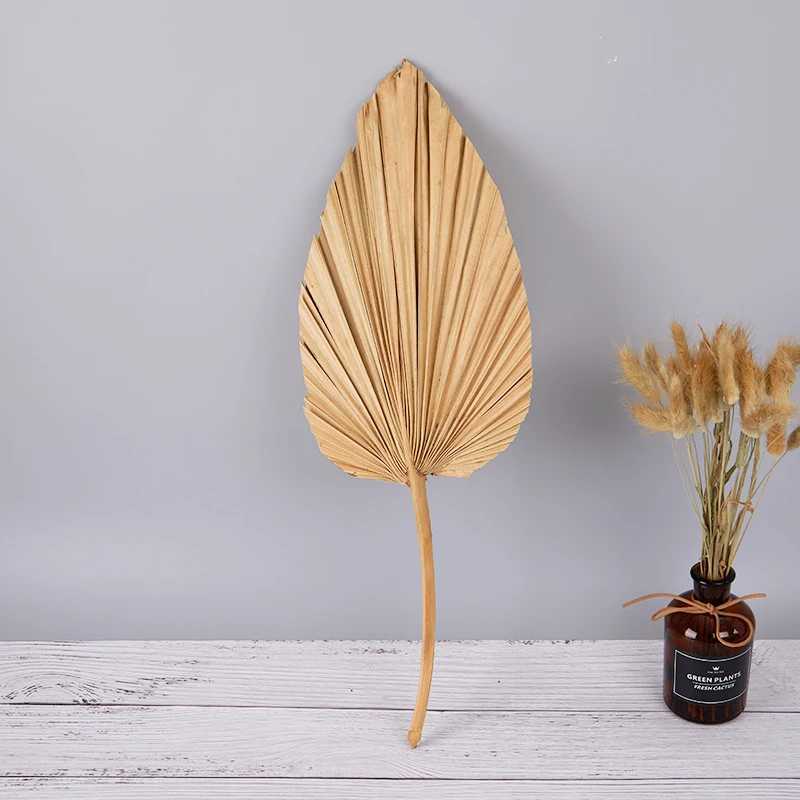 Dried Flowers DIY Palm Fan Leaf Dried Flower Palm Leaf Window Reception Party Art Wall Hanging Decoration For Wedding Arch Arrangement