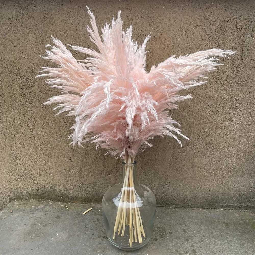 Fiori secchi rosa grande pampas secco erba vera fiore arredamento naturale piante naturali feste decoro autunno decorazione di torta di compleanno fai da te decorazione