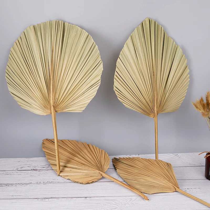 Dried Flowers DIY Palm Fan Leaf Dried Flower Palm Leaf Window Reception Party Art Wall Hanging Decoration For Wedding Arch Arrangement