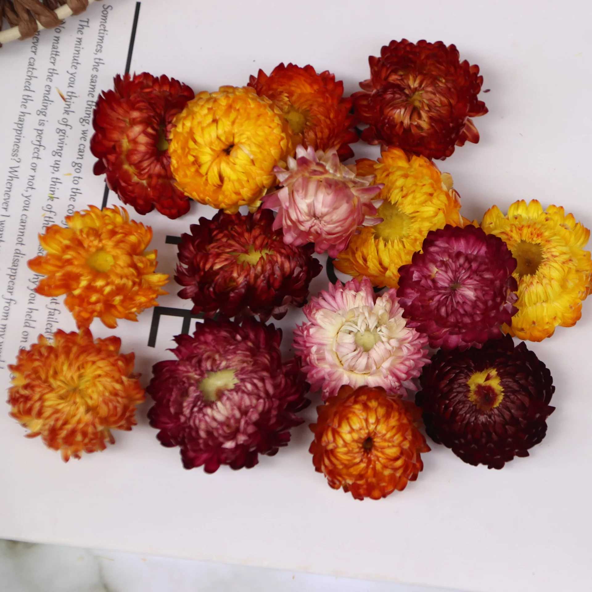 Dried Flowers Daisy Dried Natural Sunflower DIY Decor Dry Straw Chrysanthemum Heads Decorative For Home Wedding Party Tabel Decor 