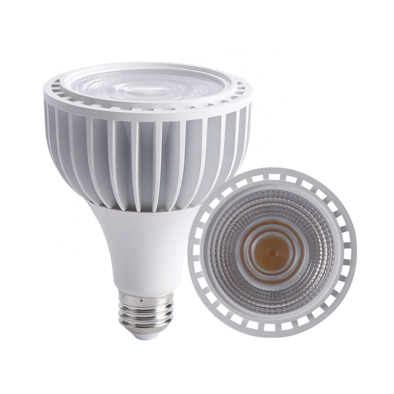 30W PAR30 LED BULB LAMP PAR38 LED -LICHTEN 110V 220V 24V PAR30 BOLB