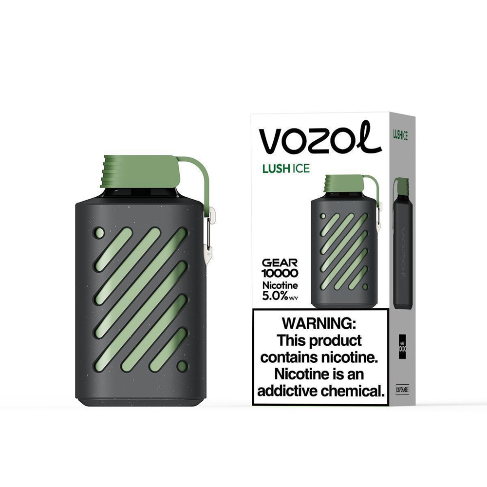 Vozol Gear 10000 Puffs 10k Puff Vapes Electronic Cigarette Vaporizer Mod Vapes Pod Vapor Bar Vaper Wape Type de type C E 2% 5% Sigarette de nicotine