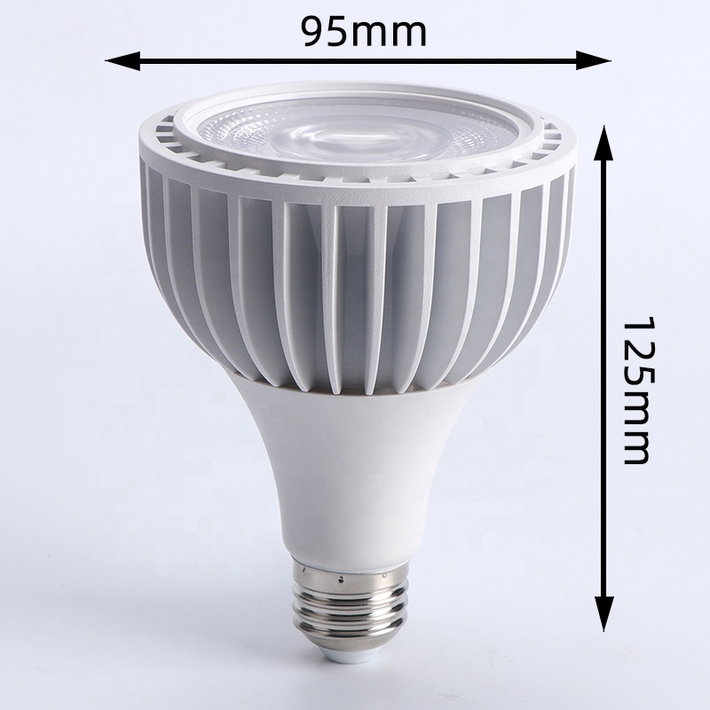 Lampada a LED LED da 30 W PAR30 PAR38 LUMI LED 110V 220V 24V 12V PAR30 BULB