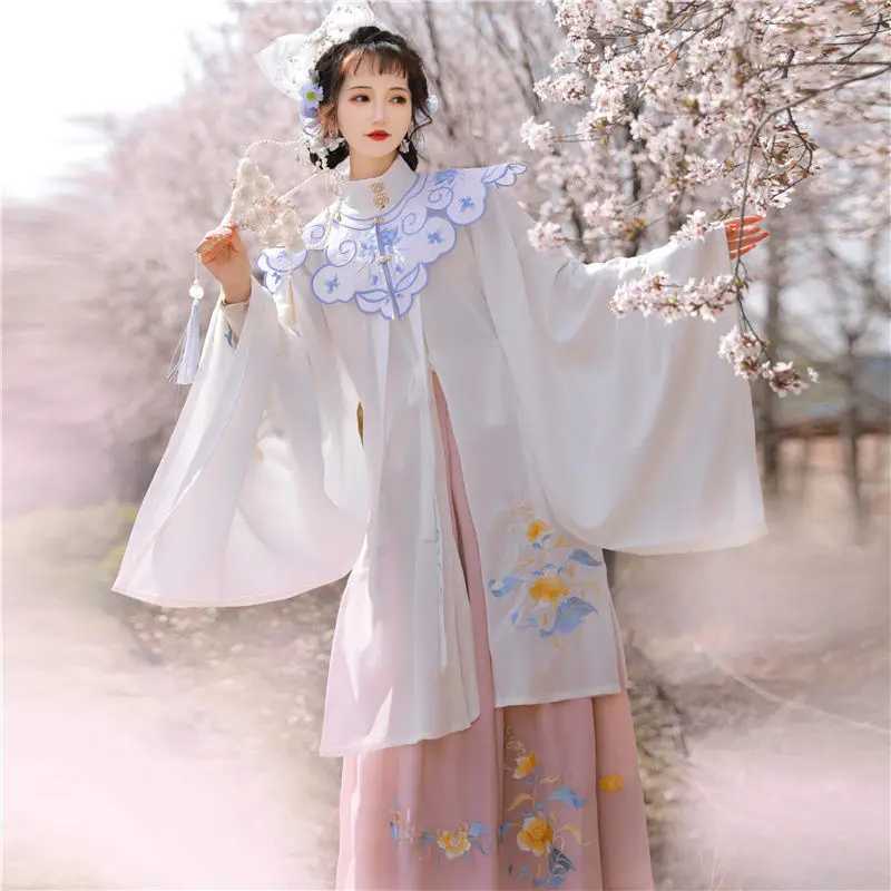 Abbigliamento etnico estate New Ming Dynasty Hanfu Femmina costume da donna tradizionale cinese Fengchaoxian pesante industria ricamata da camicia lunga
