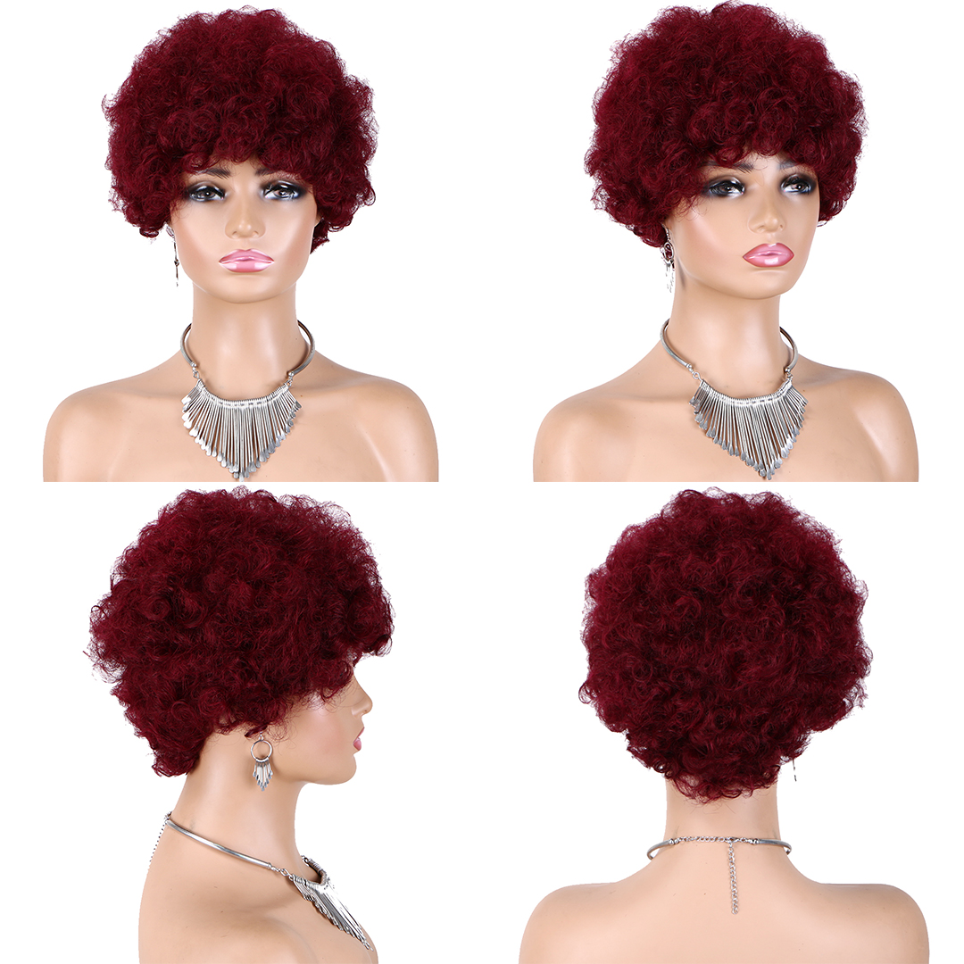 Kurzes menschliches Haar Afro Kinky Curly Perücken für schwarze Frauen Pixie geschnittene lockige Perücken schwarz keine Spitze lockiges Afro Haar Afroamerikanische Perücken