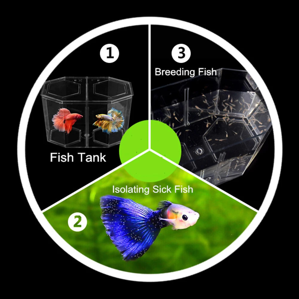 Acquario Guppy in acrilico Due divise Acquario Betta Ciotola pesci Trasparente Acquario Incubatoio Allevamento Scatola di isolamento 240124