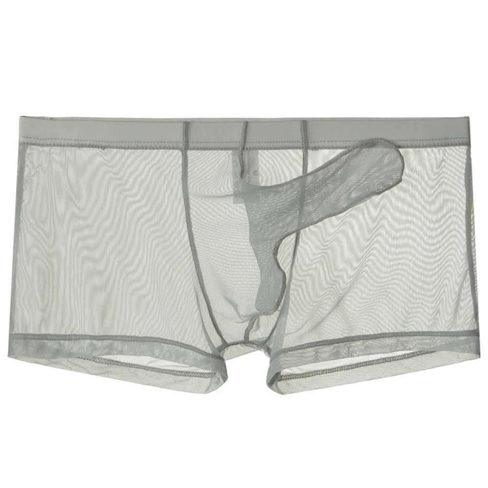 Onderbroeken Sexy Heren Transparante Trunks Ondergoed Ultradunne See Through Boxer Briefs Mesh Olifant Neusslipje Ademend Homme Slip YQ240214