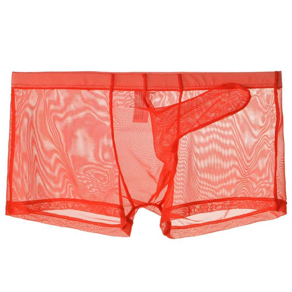 Onderbroeken Sexy Heren Transparante Trunks Ondergoed Ultradunne See Through Boxer Briefs Mesh Olifant Neusslipje Ademend Homme Slip YQ240214