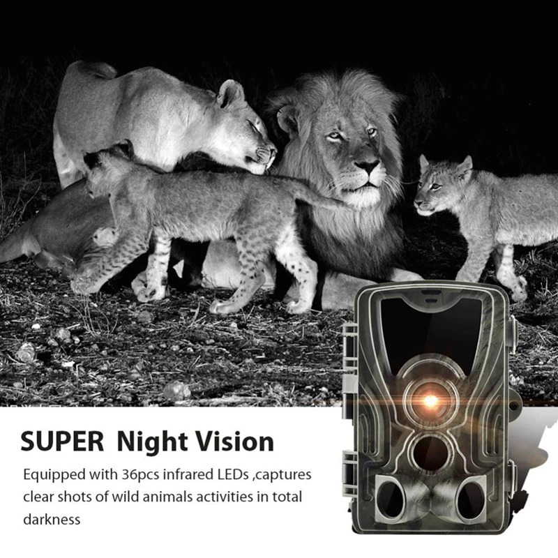 Caméra de chasse et de suivi des sentiers de chasse HC801A, avec Vision nocturne, caméra de suivi extérieure activée par le mouvement, déclencheur de détection de la faune 240126