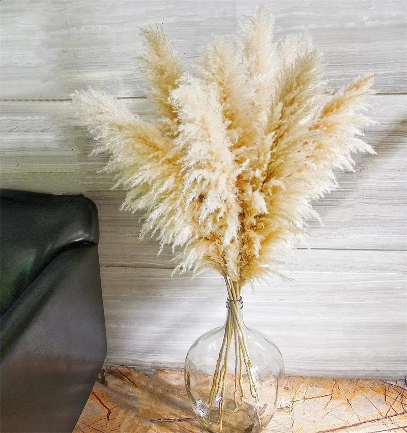 10 Stück hoch, 80 cm, Boho-Dekor, großes getrocknetes Pampasgras für Vasenfüller, Bauernhaus, Zuhause, Party, Hochzeit, Dekoration, Pompas-Blumenarrangement 240127