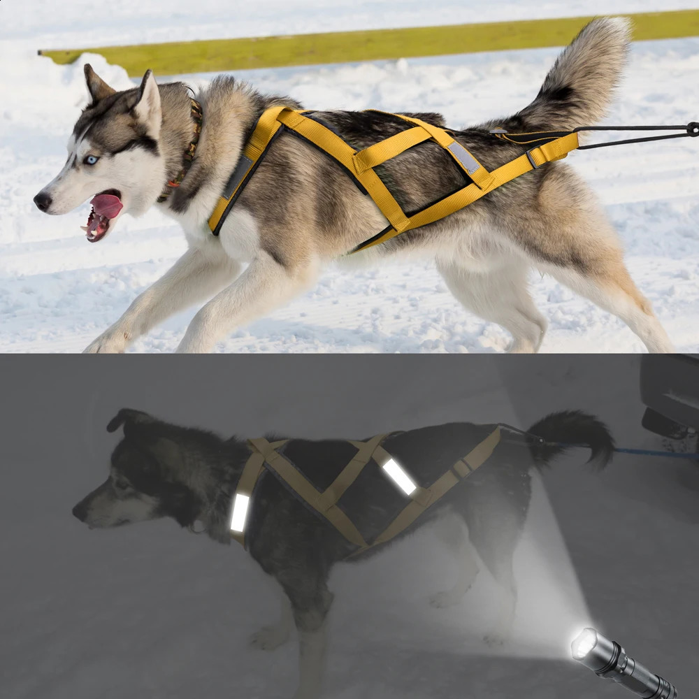 Vattentät hund släde sele reflekterande husdjur skijoring stora stora hundar vikt drar väst för träning 240131