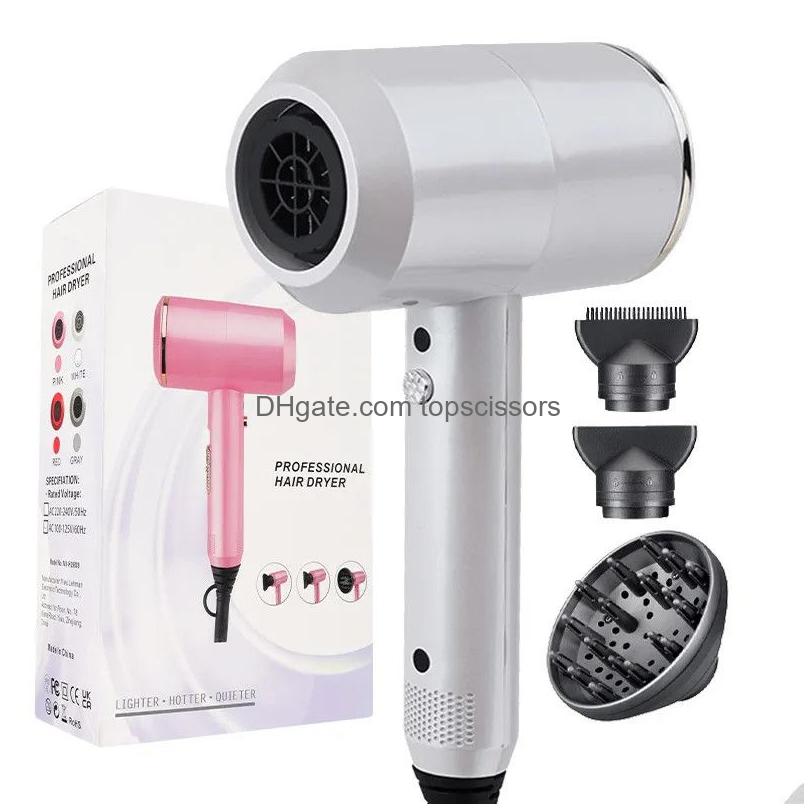 Hair Dryers Europa Plug Is Suitable Classic Dressing Table And Salon There Are Many Options For High Power Professional Hair Dryers Dr Dhu3V