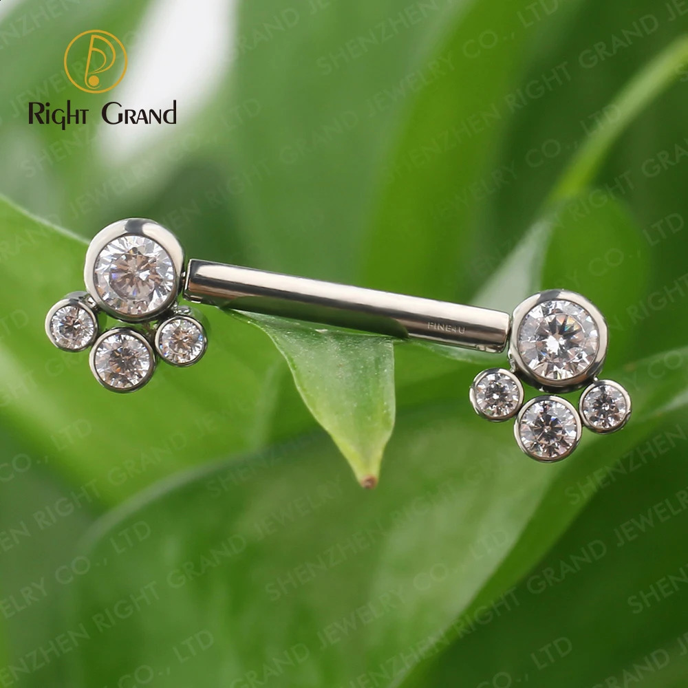 Droit Grand ASTM 36 14G CZ Cluster Nipple Barbell Sexy Nipplering Body Piercing Bijoux Longueur de la barre 1416mm 240127