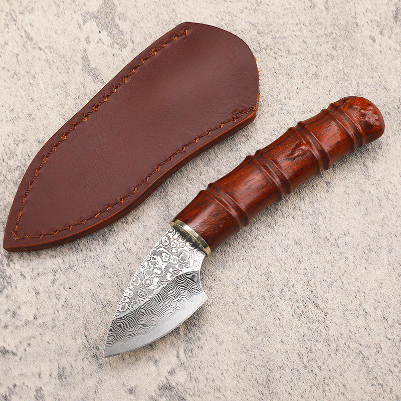 Promozione A2252 Damasco Coltello a lama fissa VG10 Damasco Steel Blade Rosewood maniglia da pesca da esterno Calni tascabili EDC con guaina in pelle