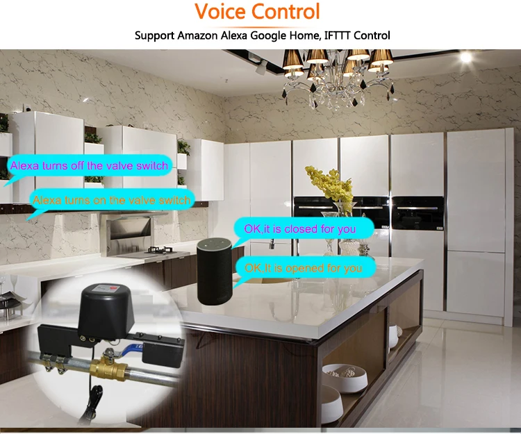 Détecteur Tuya Alexa Google Assistant contrôleur de contrôle sans fil combinaison DN15 DN20 gaz eau WiFi vanne intelligente contrôleur d'arrêt SmartLife