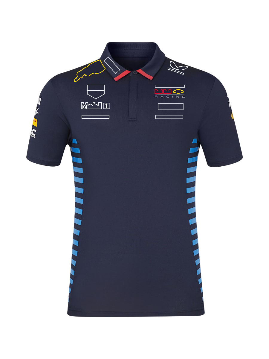 2024 Nova F1 Camisas Polo T-shirt Fórmula 1 Equipe Vinte Anos Comemorando Polo T-shirts Fãs de Corrida Camisa de secagem rápida Camiseta Plus Size