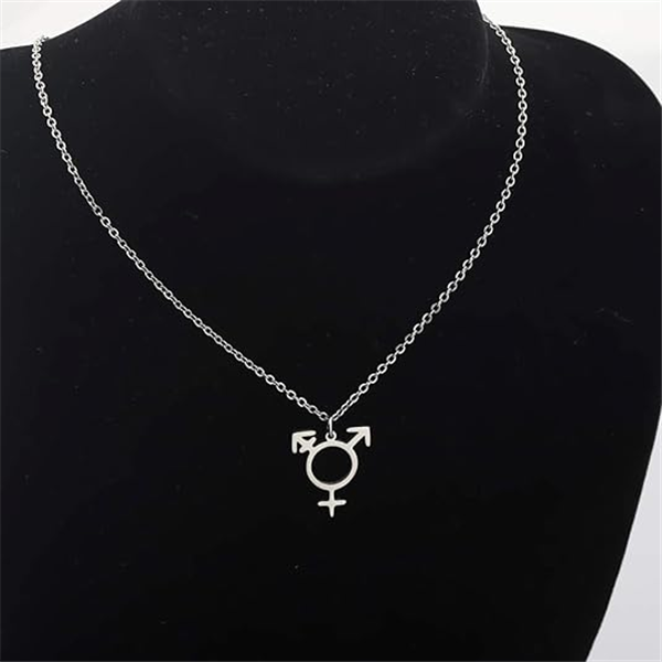 Transgender Symbol Pendant Necklace Male and Female Trans Gender Sign Stainless Steel Lgbt Queer Bisexual Lesbian Pride Gay Charm Chain Choker