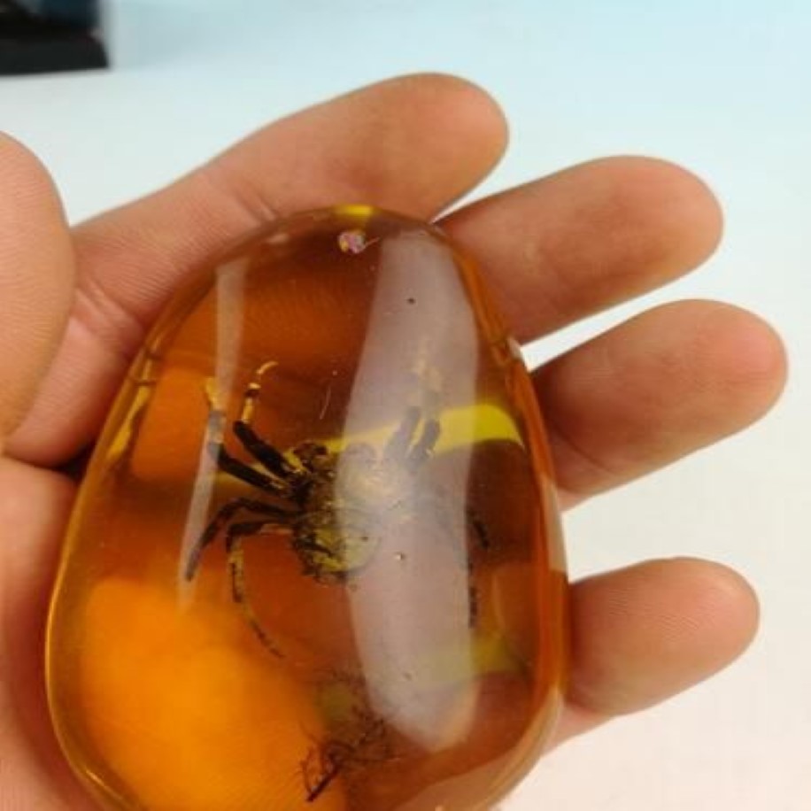 Rare Amber Spider Amber Spider Pendant301V