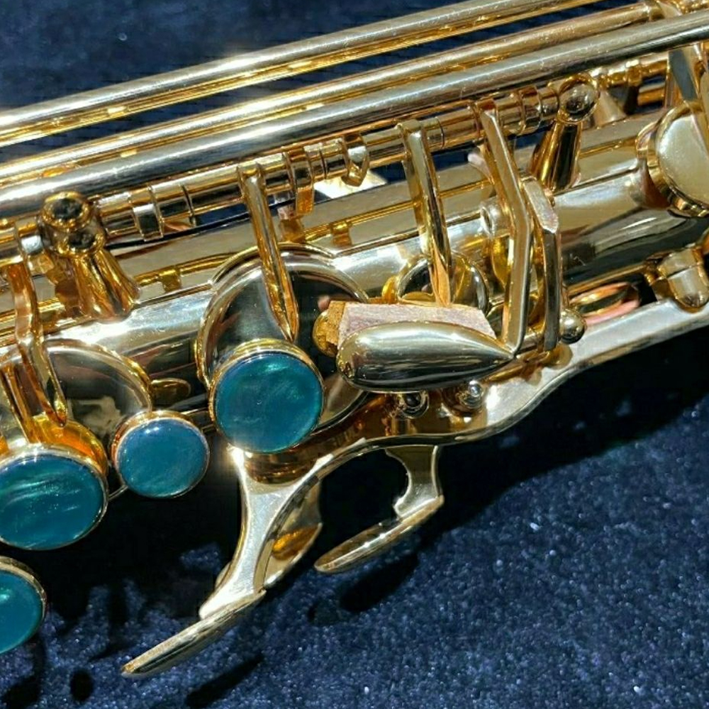 High End EX100 E-Flat Paint Gold Brass Alto Saxophone German Craft Manufacturing Jazz Instrument med låda gratis frakt