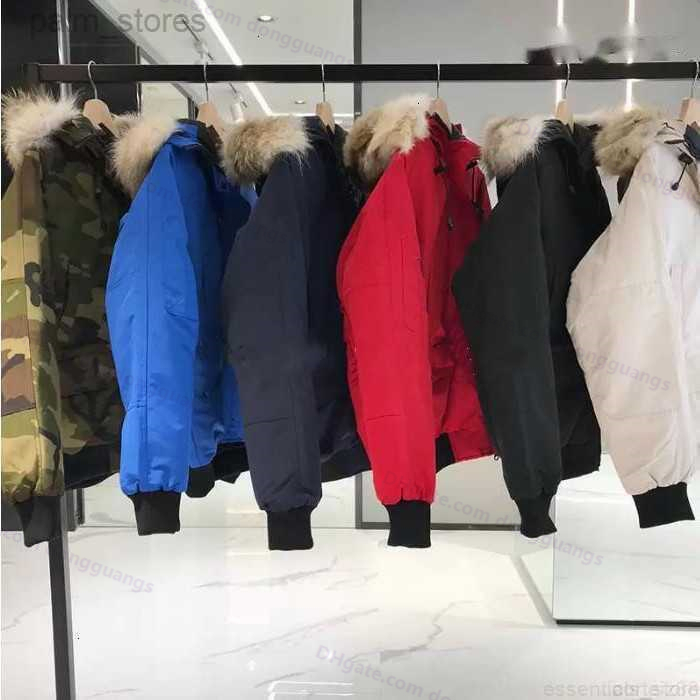 Canada Goose Jacket Men's Down Parkas Womans Down Parkas Doudoune Manteau Canda Gooses Longue doudoune d'oie du Canada Stone Down North Jacket 3 NBTZ